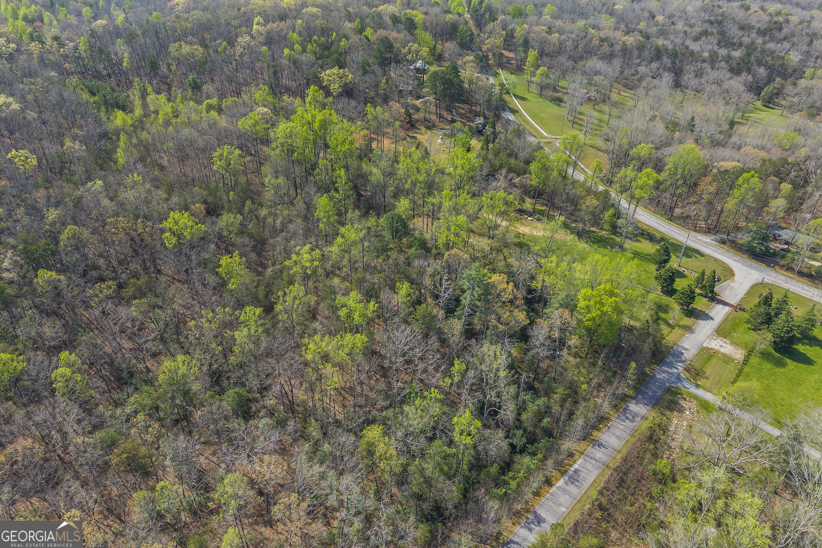 Lot 47 Mountain Ridge Drive Clarkesville, GA 30523 - Photo 17 of 29