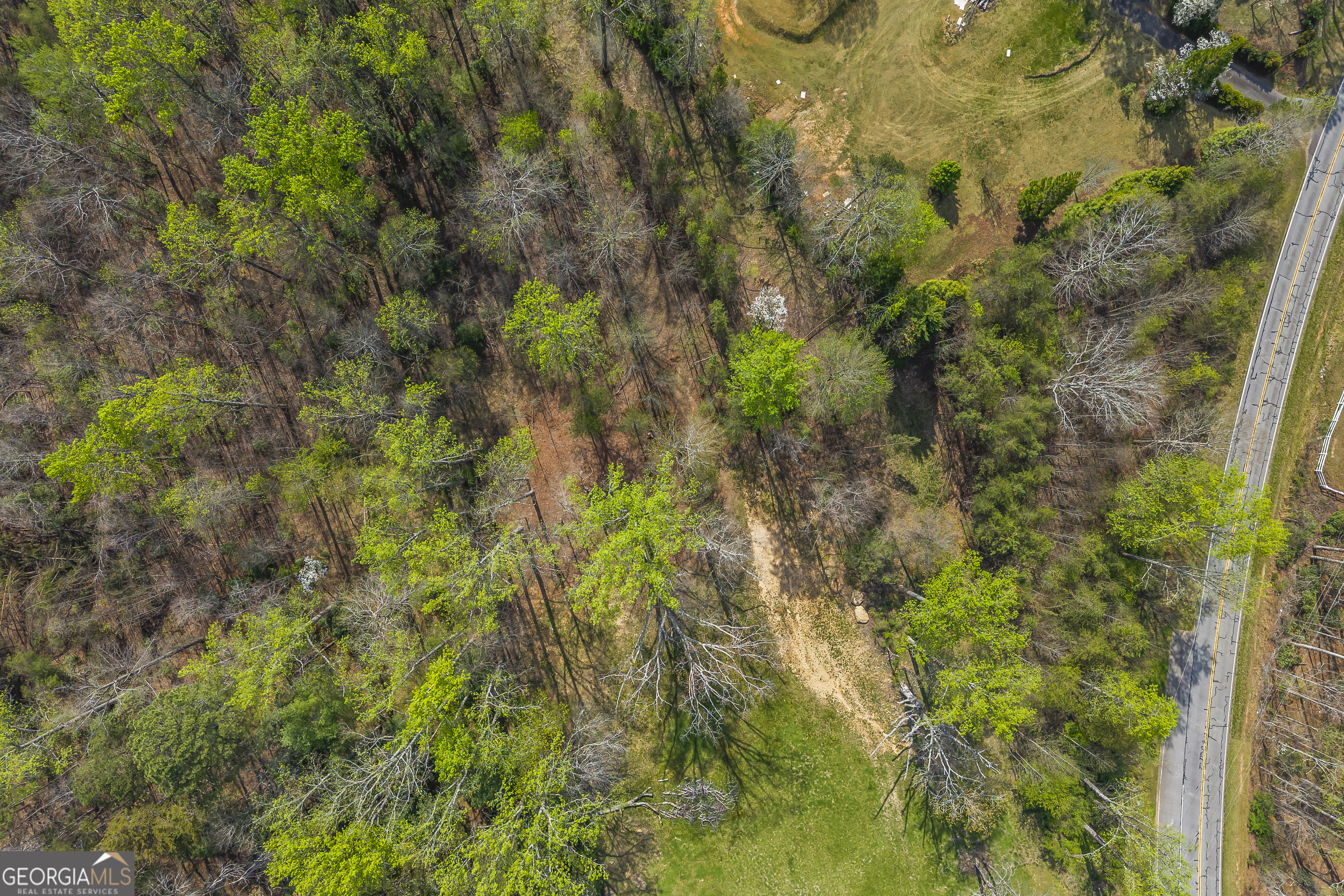 Lot 47 Mountain Ridge Drive Clarkesville, GA 30523 - Photo 19 of 29