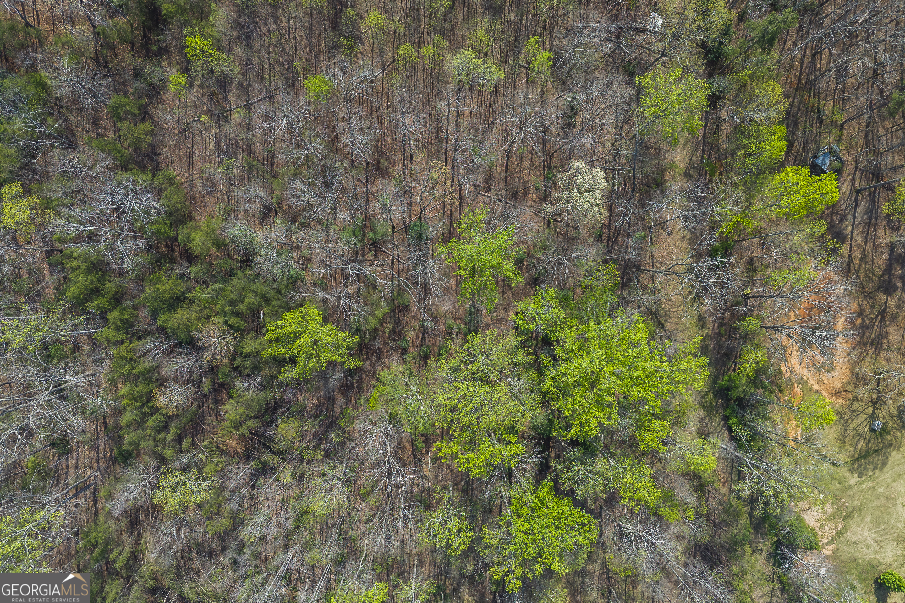 Lot 47 Mountain Ridge Drive Clarkesville, GA 30523 - Photo 20 of 29