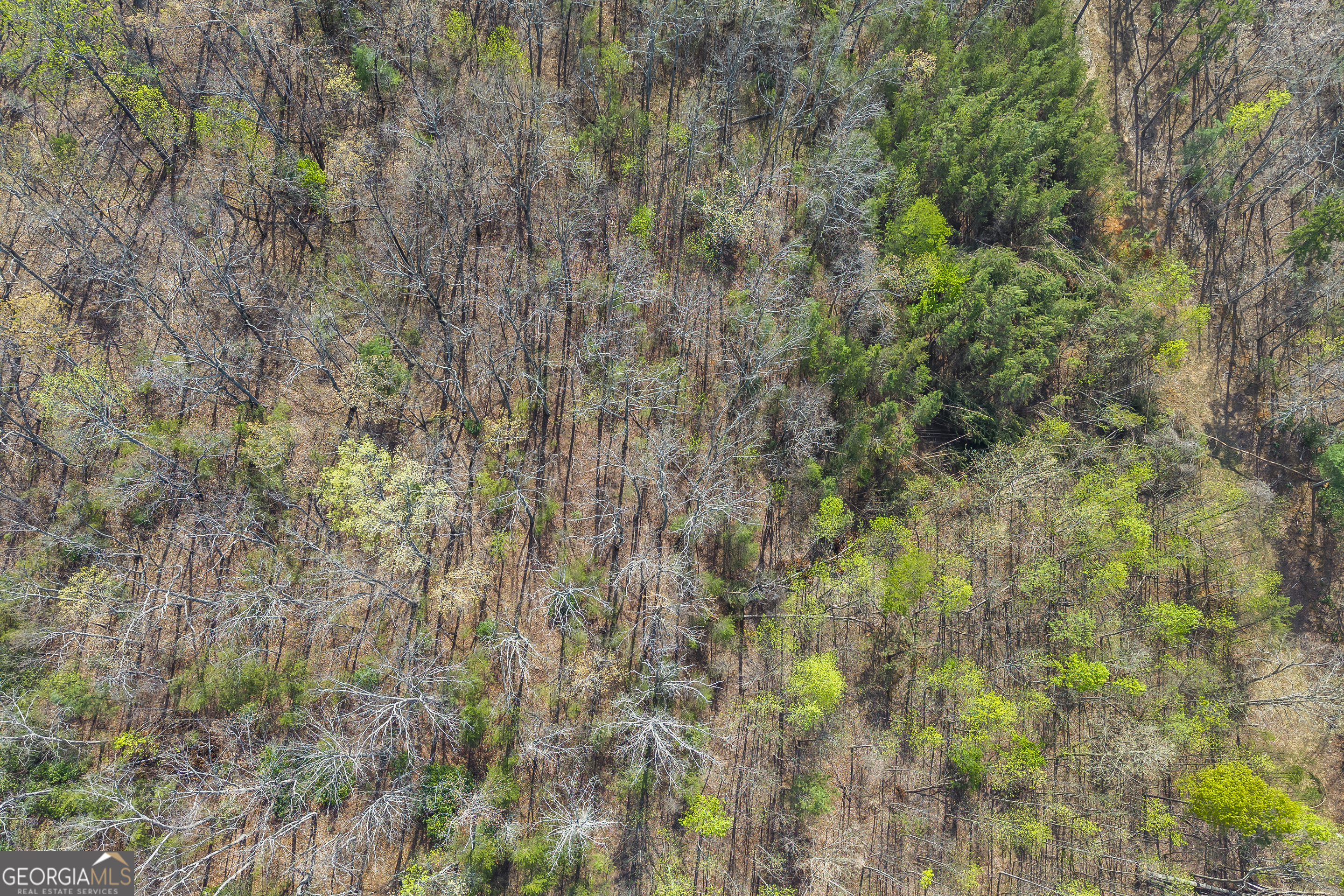 Lot 47 Mountain Ridge Drive Clarkesville, GA 30523 - Photo 21 of 29