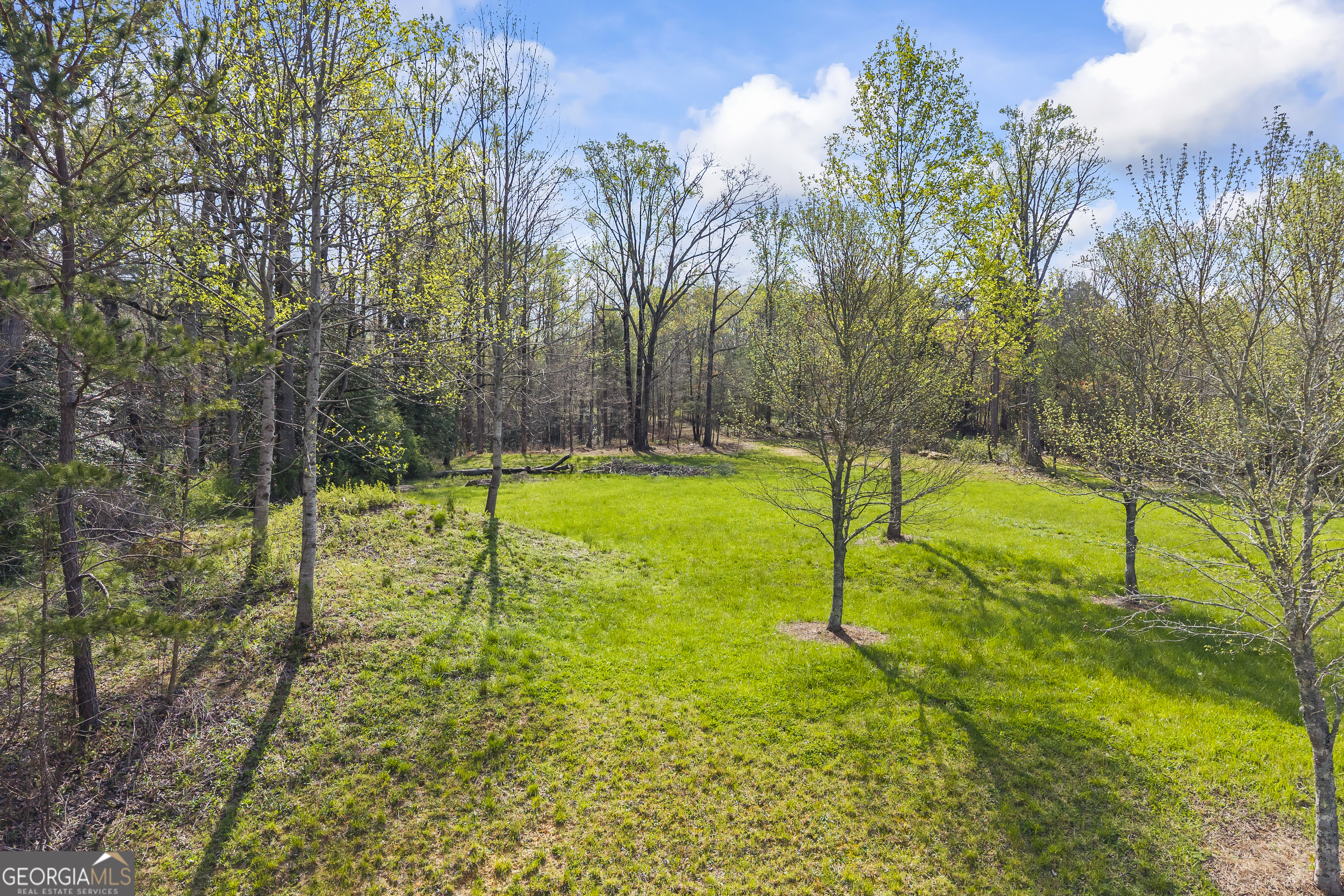 Lot 47 Mountain Ridge Drive Clarkesville, GA 30523 - Photo 25 of 29