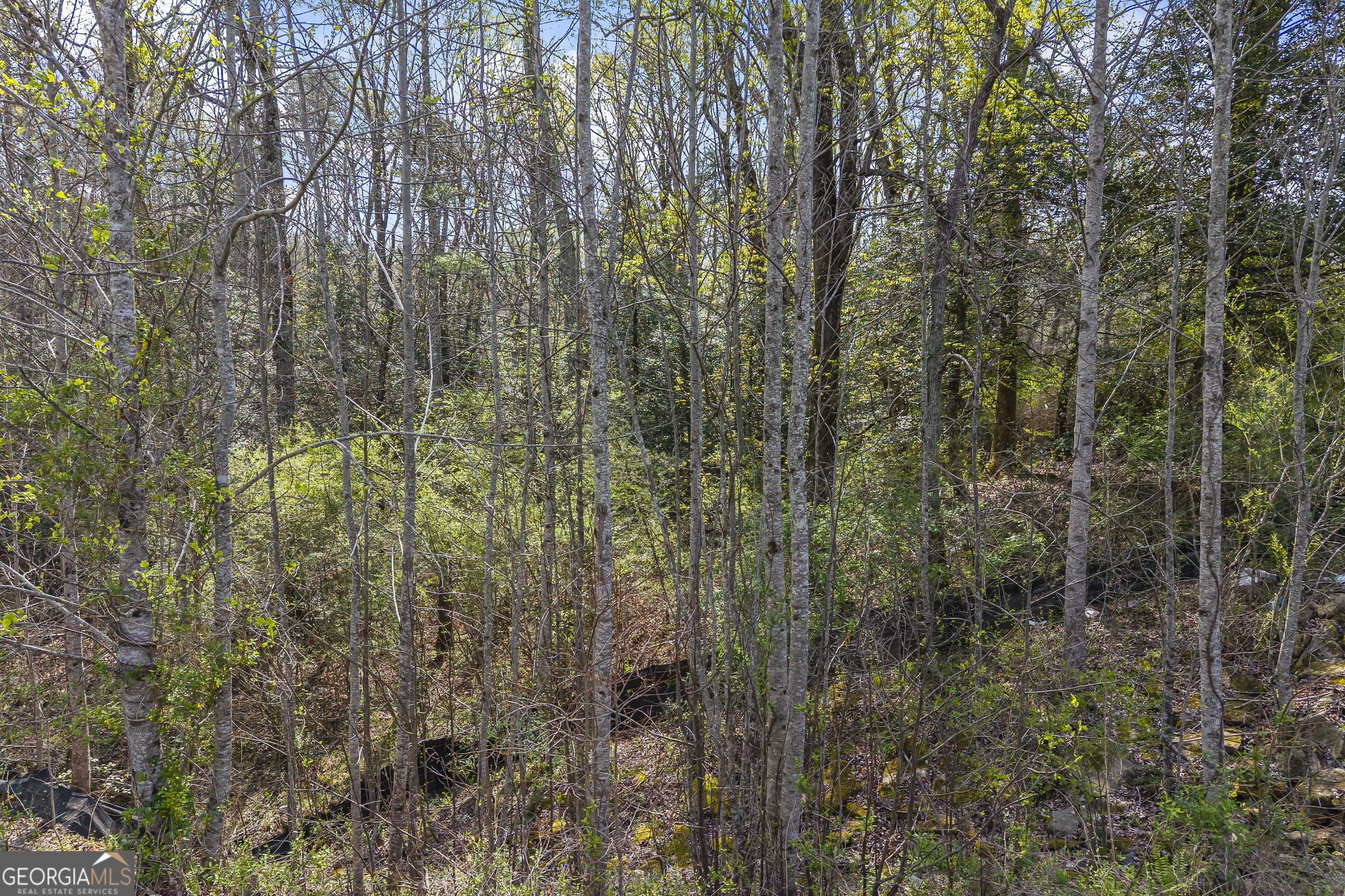 Lot 47 Mountain Ridge Drive Clarkesville, GA 30523 - Photo 26 of 29