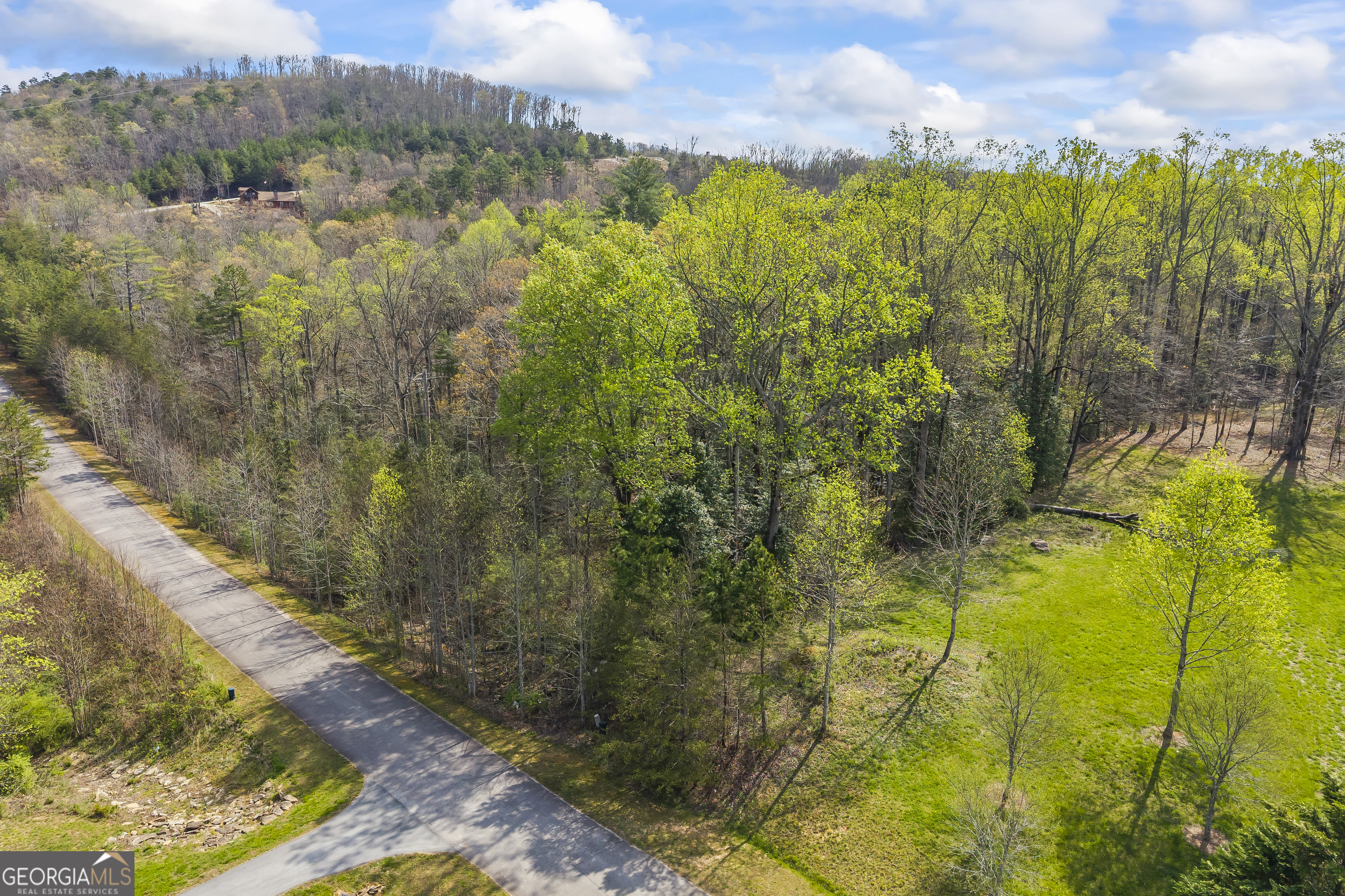 Lot 47 Mountain Ridge Drive Clarkesville, GA 30523 - Photo 29 of 29