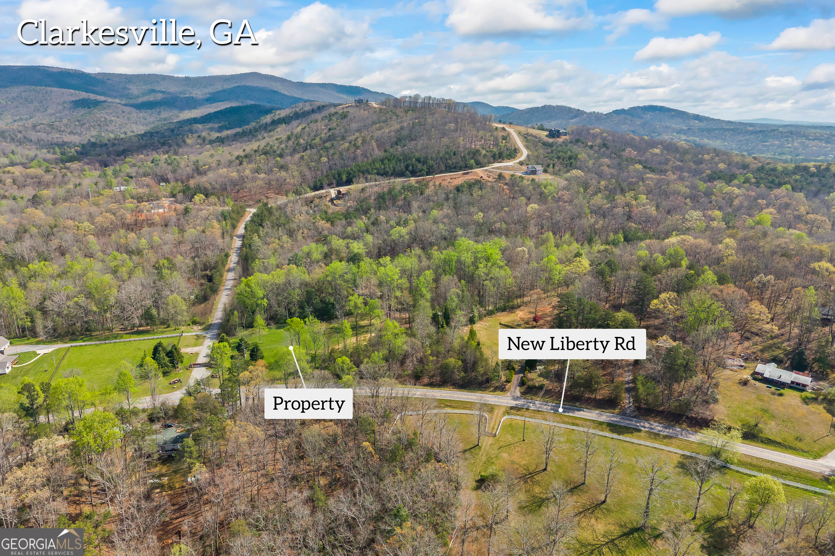 Lot 47 Mountain Ridge Drive Clarkesville, GA 30523 - Photo 4 of 29