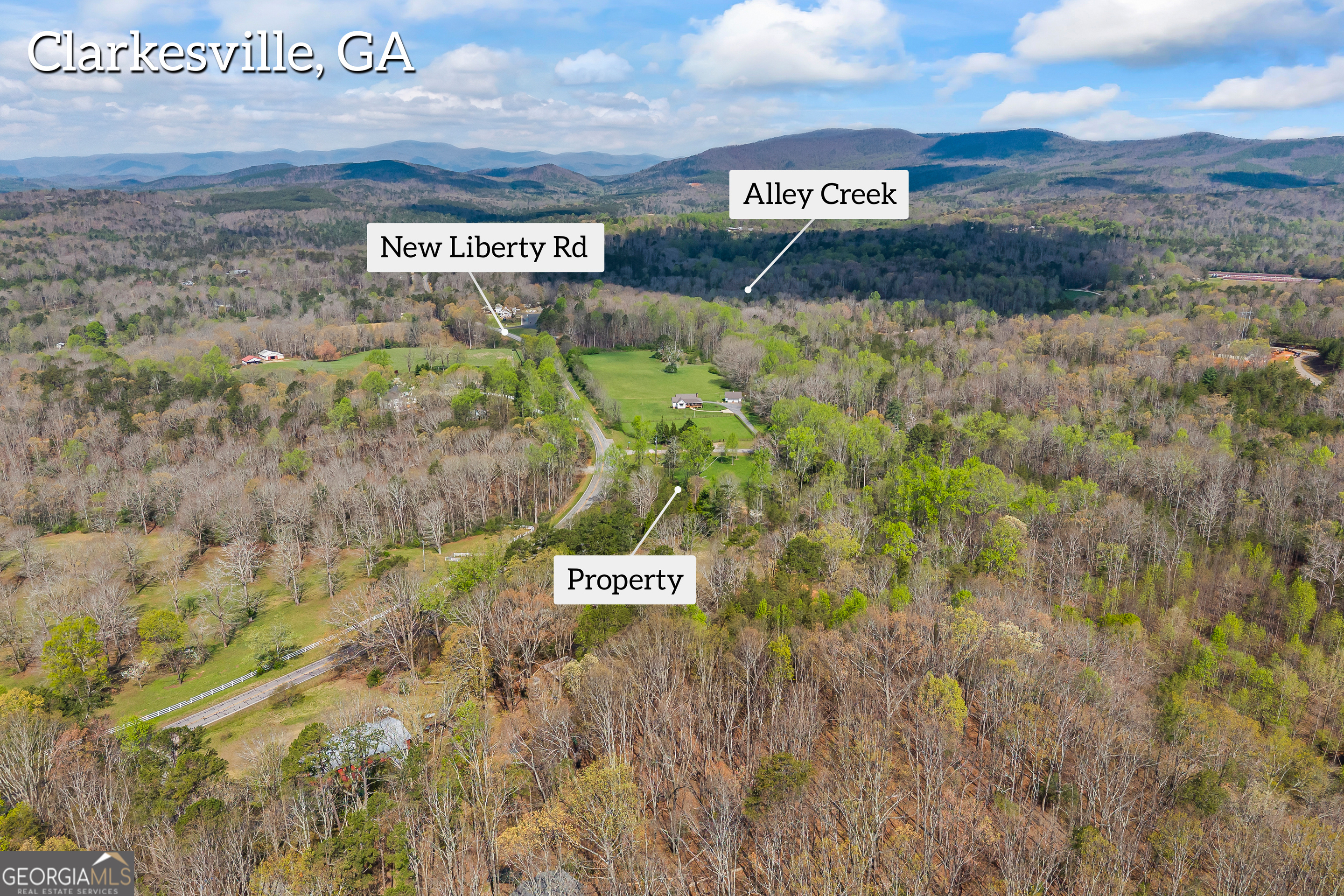 Lot 47 Mountain Ridge Drive Clarkesville, GA 30523 - Photo 5 of 29