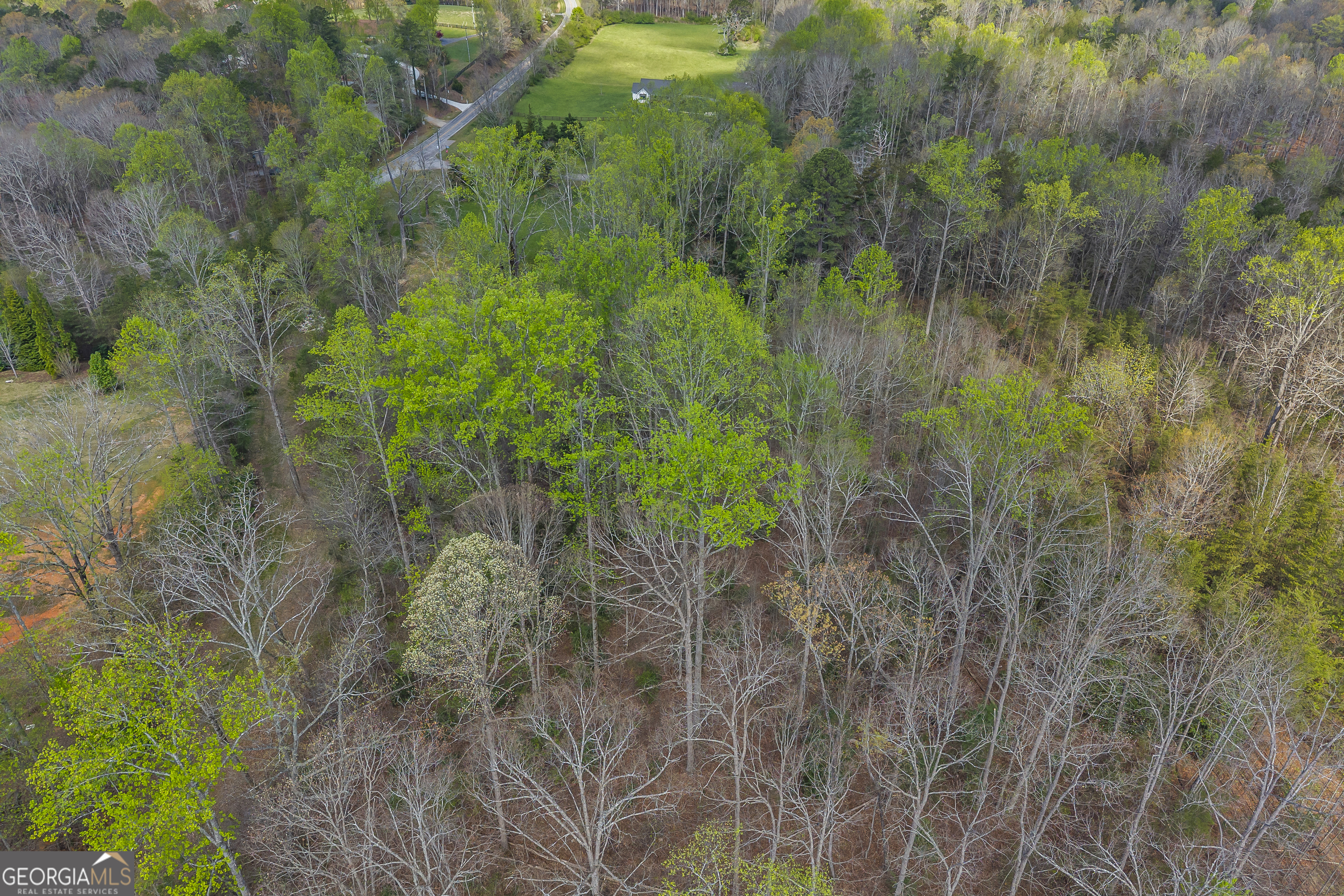Lot 47 Mountain Ridge Drive Clarkesville, GA 30523 - Photo 8 of 29