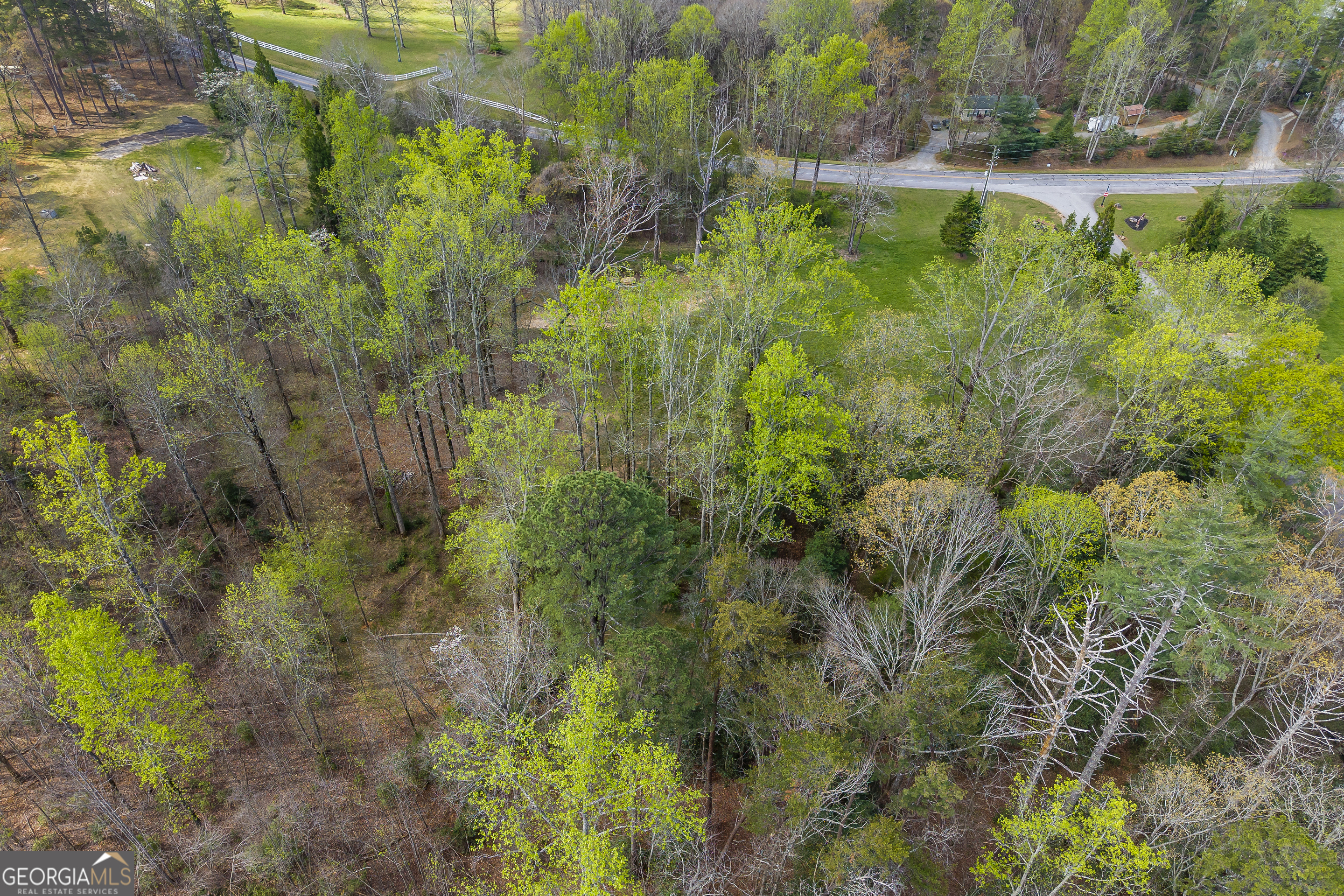 Lot 47 Mountain Ridge Drive Clarkesville, GA 30523 - Photo 9 of 29