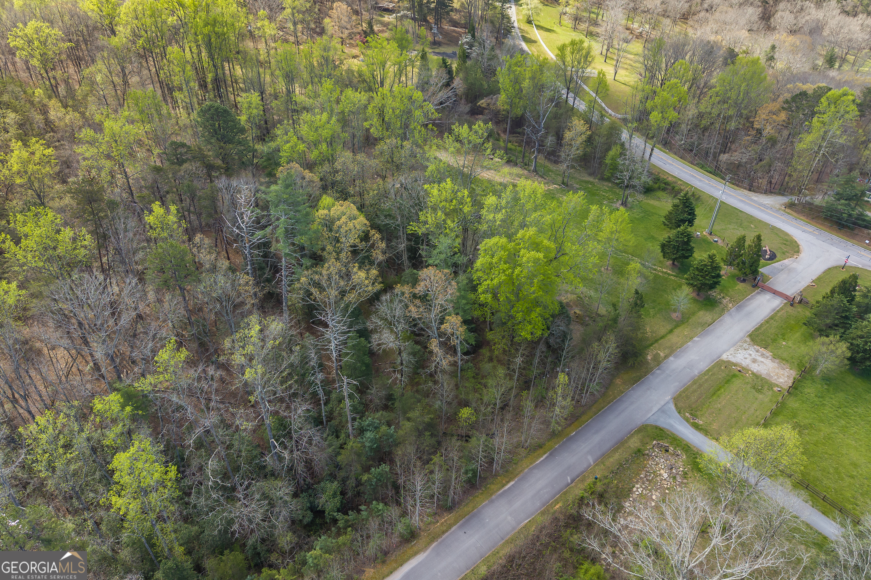 Lot 47 Mountain Ridge Drive Clarkesville, GA 30523 - Photo 10 of 29
