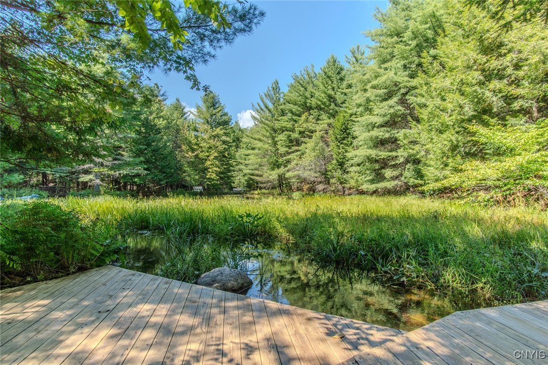 6443 Lingerlong Pond Road Watson, NY 13343 - Photo 11 of 44