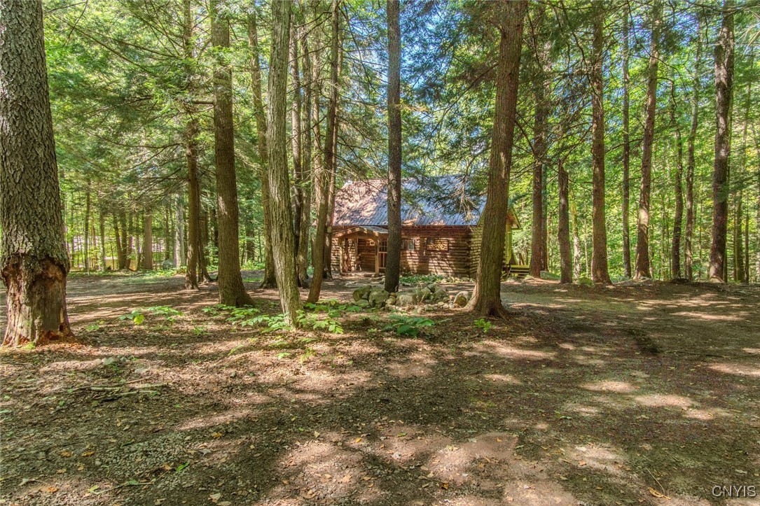 6443 Lingerlong Pond Road Watson, NY 13343 - Photo 2 of 44