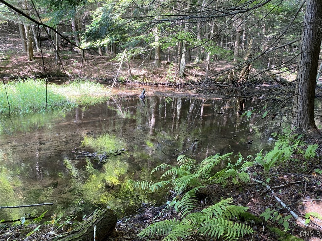 6443 Lingerlong Pond Road Watson, NY 13343 - Photo 40 of 44