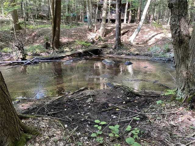 $254,000 | 6443 Lingerlong Pond Road, Watson, NY 13343