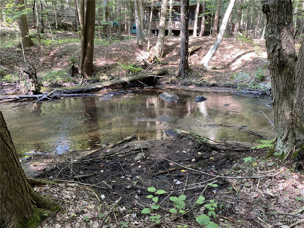 6443 Lingerlong Pond Road Watson, NY 13343 - Photo 41 of 44