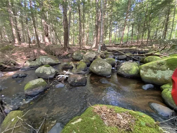 $254,000 | 6443 Lingerlong Pond Road, Watson, NY 13343