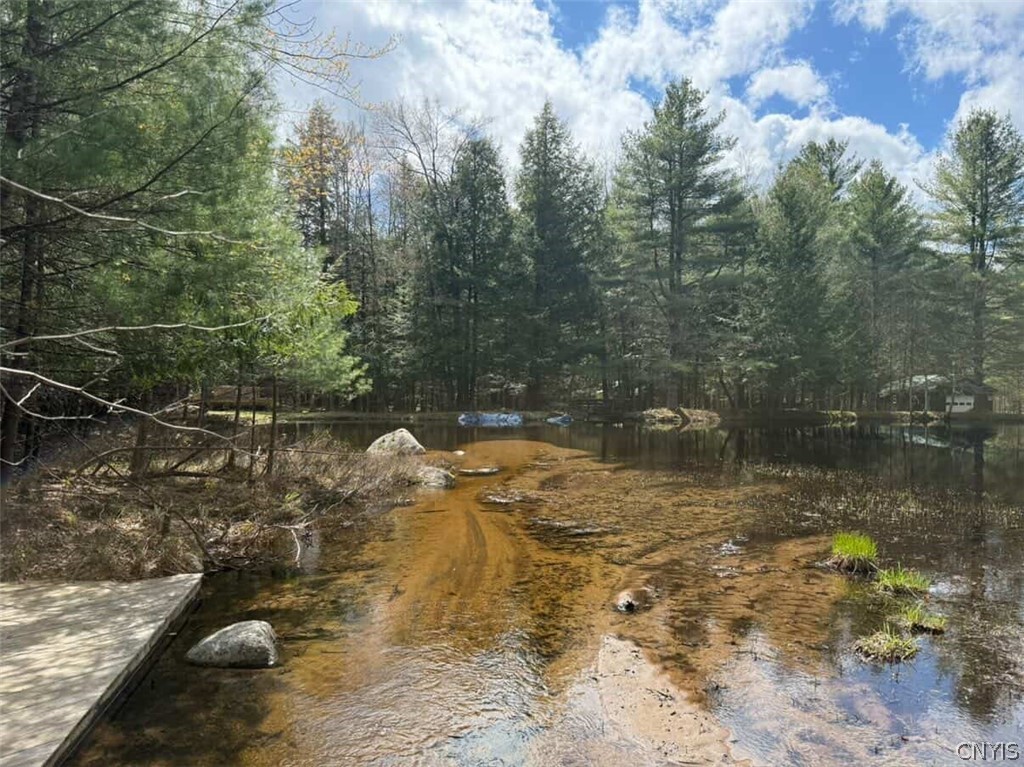 6443 Lingerlong Pond Road Watson, NY 13343 - Photo 47 of 50 Lingerlong Pond
