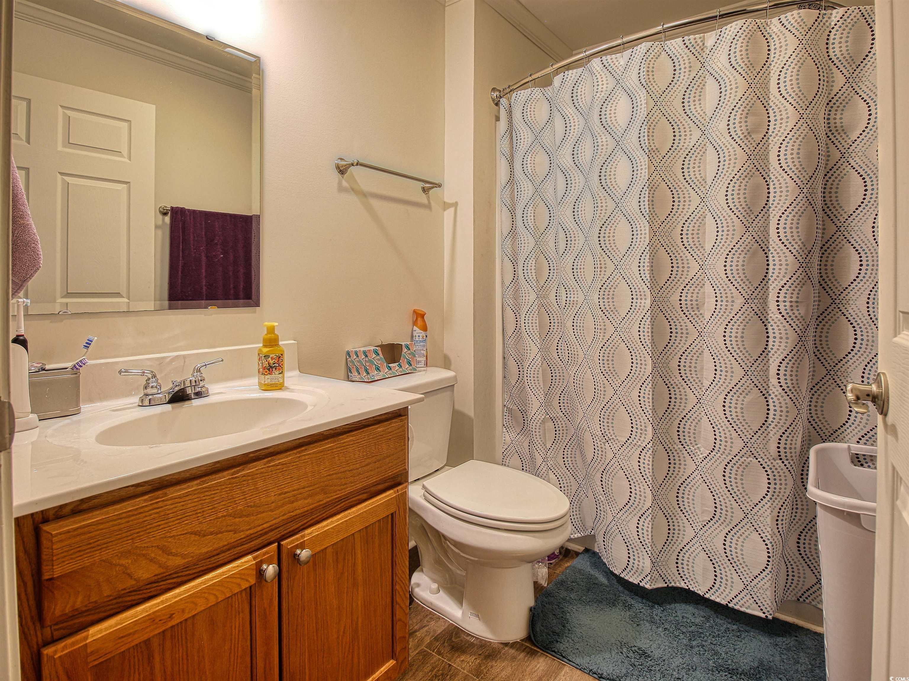 215 West James Street Mullins, SC 29574 - Photo 11 of 18 Bathroom featuring vanity, a shower with curtain, and dark wood finished floors