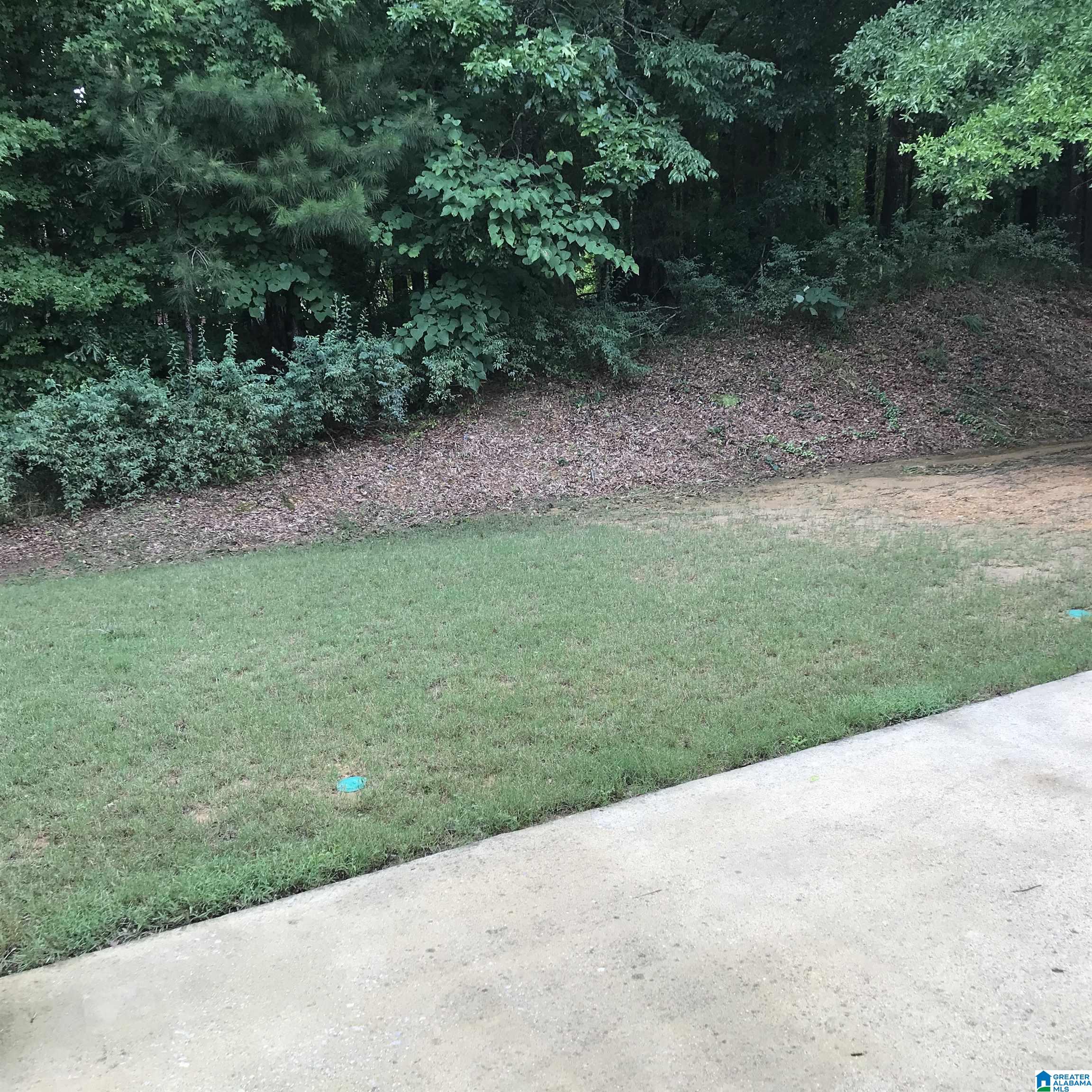 748 Valley Circle Leeds, AL 35094 - Photo 31 of 35