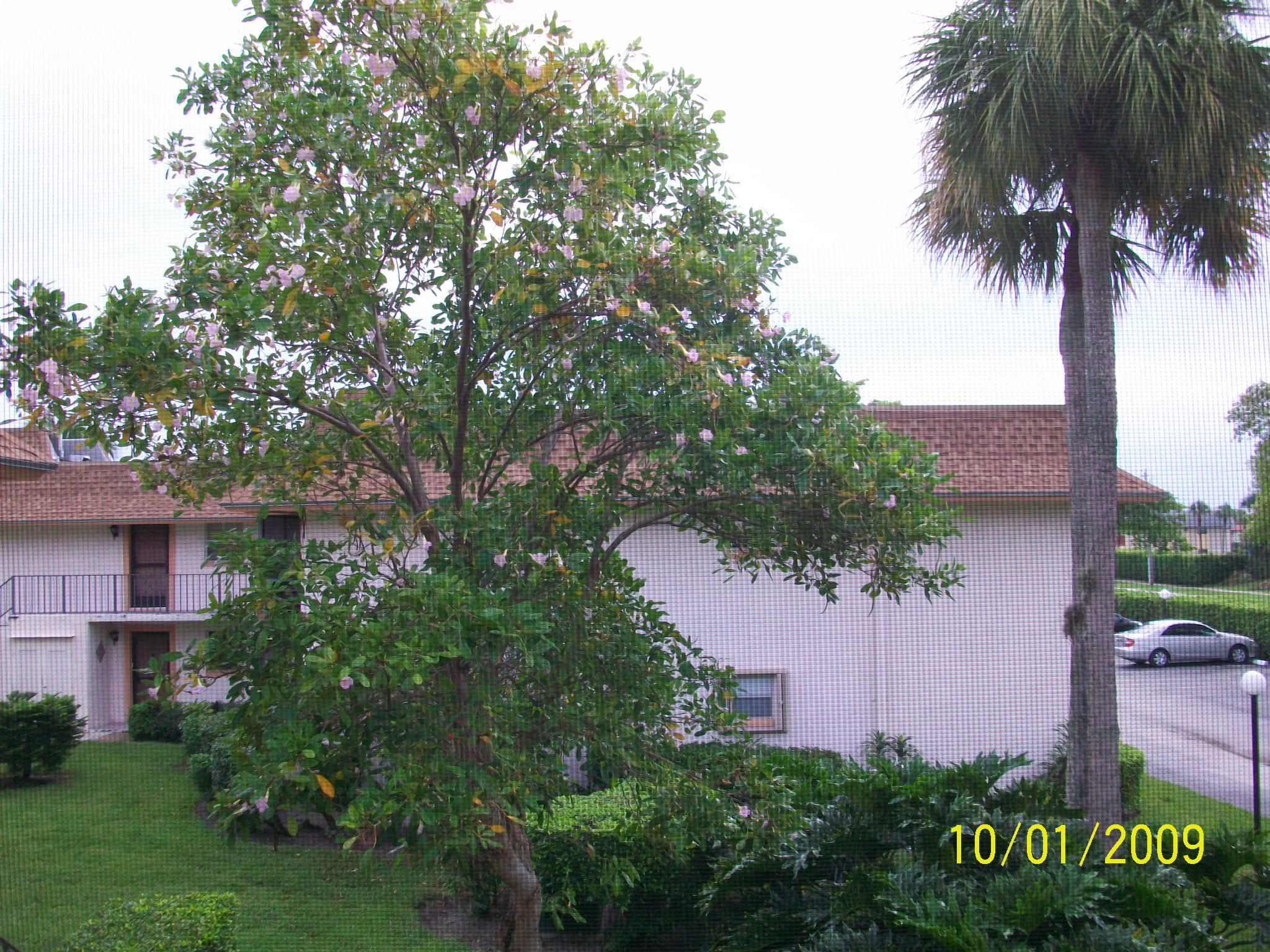 1291 Northwest 13th Street, Unit 443 Boca Raton, FL 33486 - Photo 1 of 11 BOCA LINDA PATIO VIEW