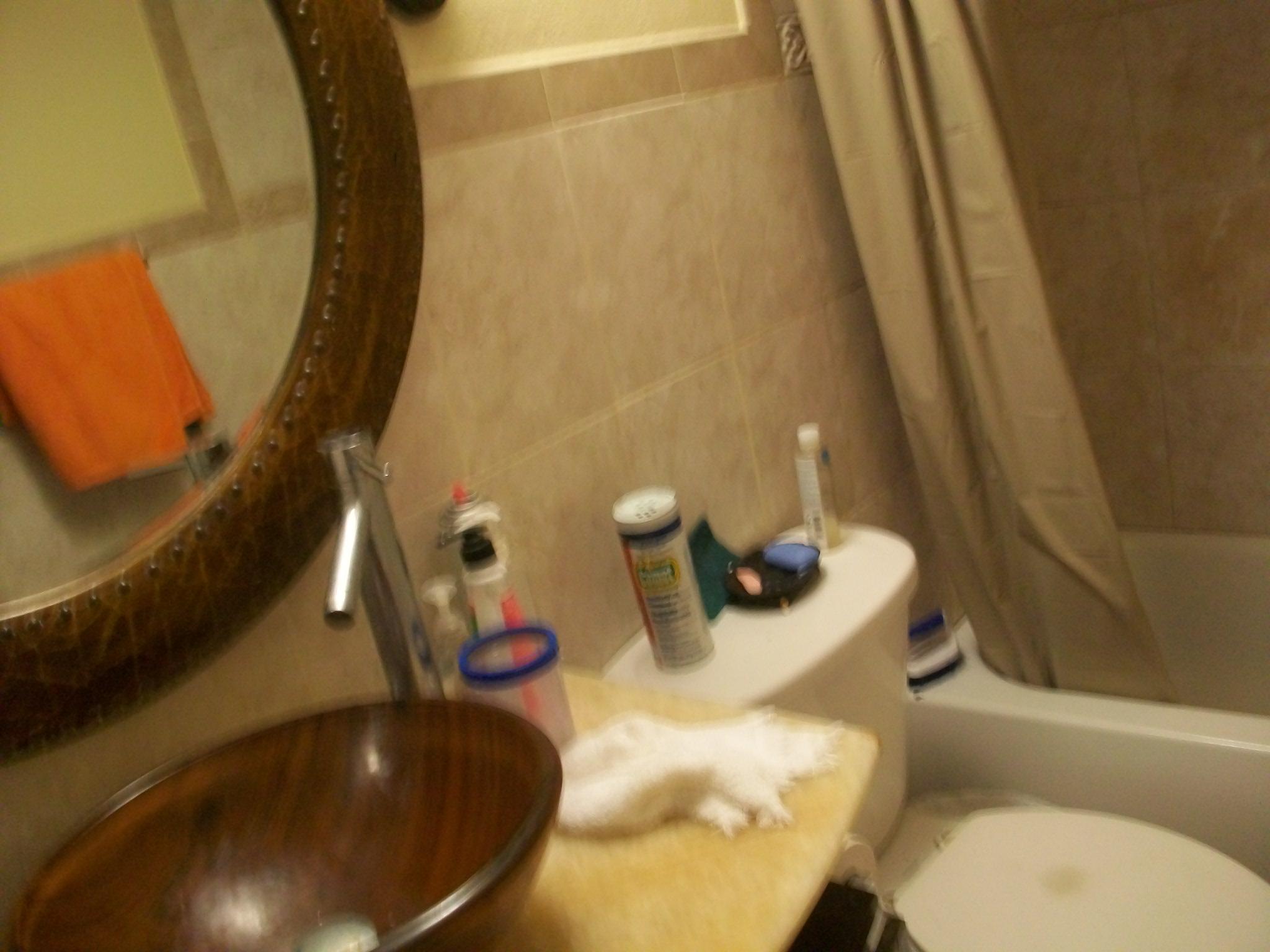 1291 Northwest 13th Street, Unit 443 Boca Raton, FL 33486 - Photo 5 of 11 BOCA LINDA MASTER BATHROOM