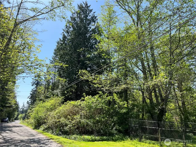 a view of yard with green space