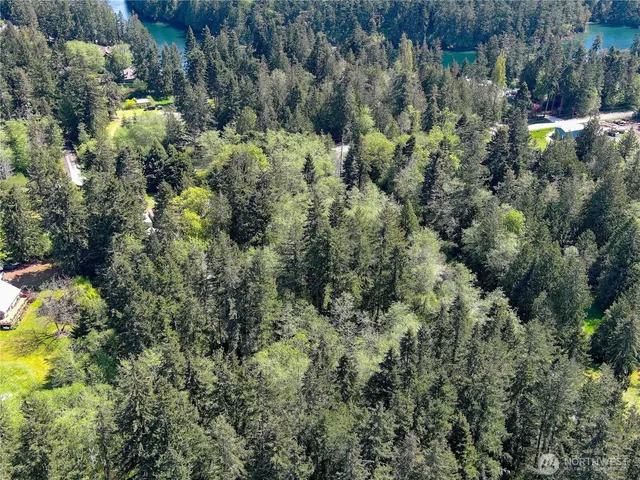 a view of a house with a lush green forest