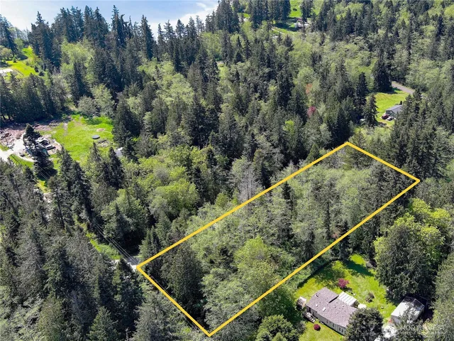 a view of a forest from a balcony