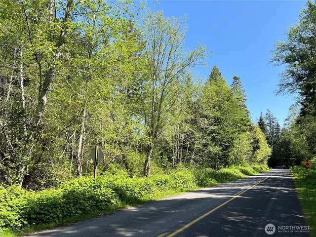 a view of a yard with plants and trees