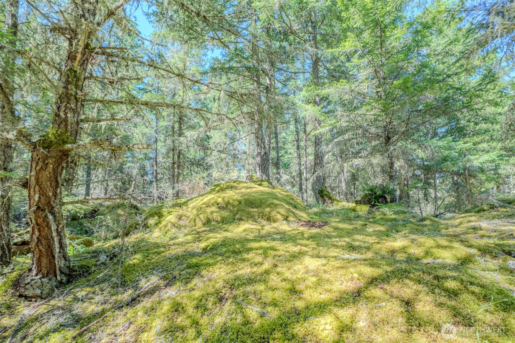 678 Swan Road Orcas Island, WA 98245 - Photo 11 of 39