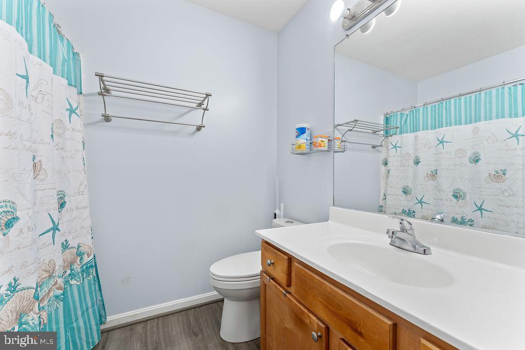 10335 Citation Way Ruther Glen, VA 22546 - Photo 21 of 47 a bathroom with a sink a toilet and shower curtain