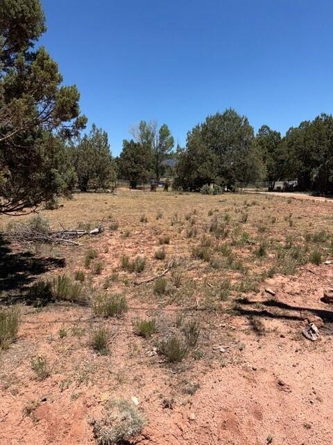 Lot 46 Park Road Payson, AZ 85541 - Photo 5 of 6 pic4