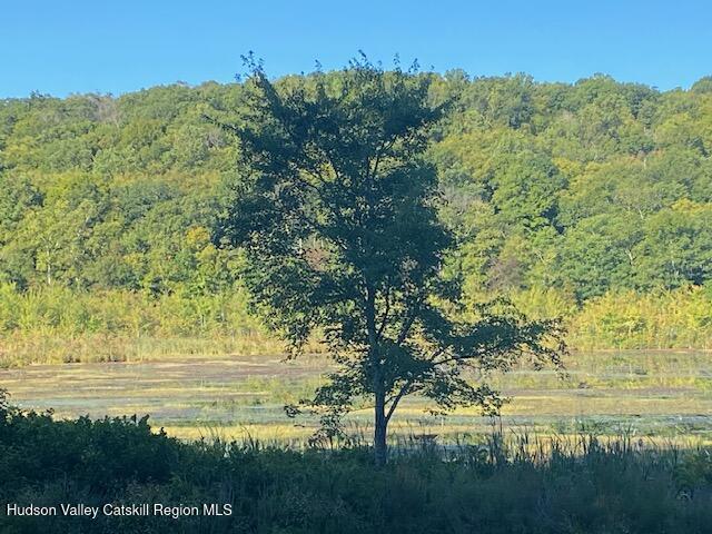 Tbd Lily Lake Road Highland, NY 12528 - Photo 11 of 31 a view of an ocean from a yard