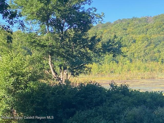 Tbd Lily Lake Road Highland, NY 12528 - Photo 12 of 31 Pic 6
