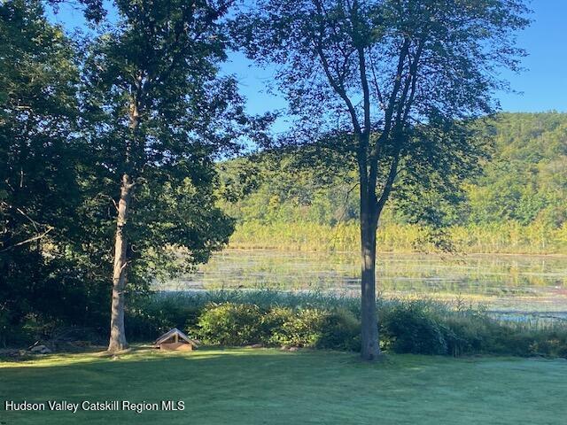 Tbd Lily Lake Road Highland, NY 12528 - Photo 13 of 31 Pic 7