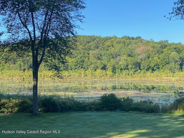 Tbd Lily Lake Road Highland, NY 12528 - Photo 14 of 31 a view of lake with green space