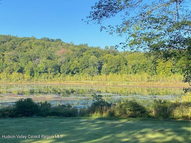 Tbd Lily Lake Road Highland, NY 12528 - Photo 15 of 31 a view of lake with a city