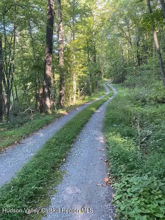 a view of outdoor space with lots of trees