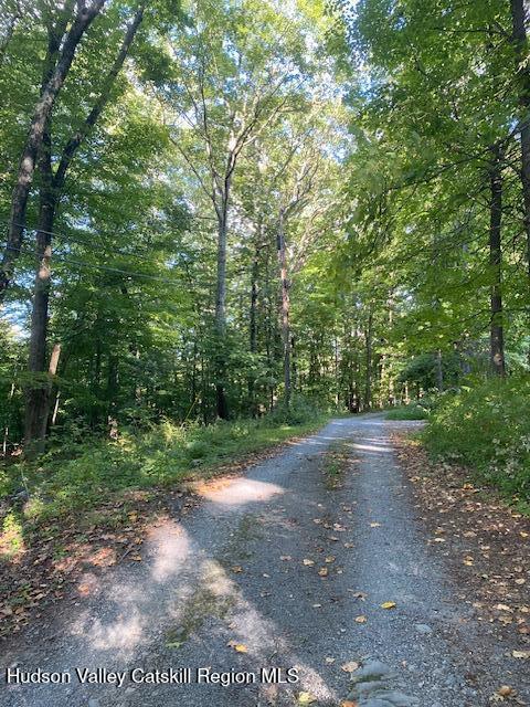 Tbd Lily Lake Road Highland, NY 12528 - Photo 18 of 31 a view of a yard with large trees