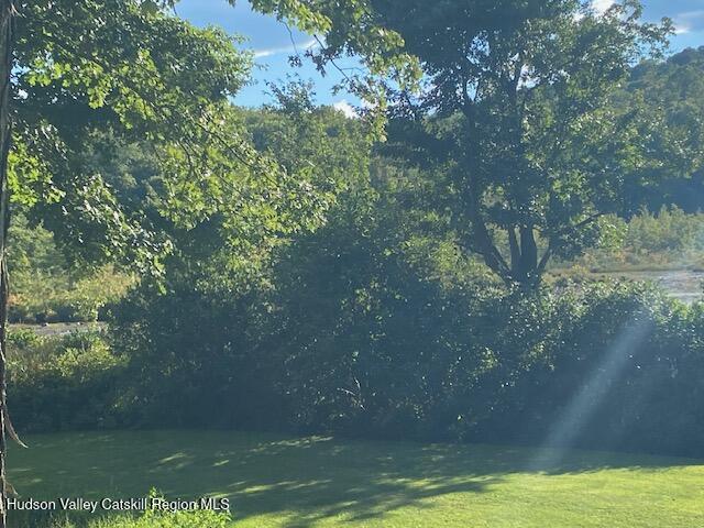 Tbd Lily Lake Road Highland, NY 12528 - Photo 21 of 31 Pic 17