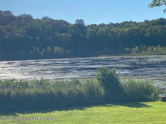 Tbd Lily Lake Road Highland, NY 12528 - Photo 23 of 31 a view of a lake
