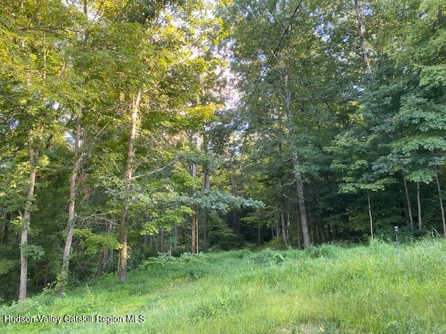 Tbd Lily Lake Road Highland, NY 12528 - Photo 25 of 31 a view of backyard with green space