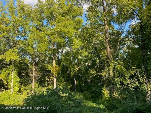 $500,000 | Tbd Lily Lake Road, Highland, NY 12528