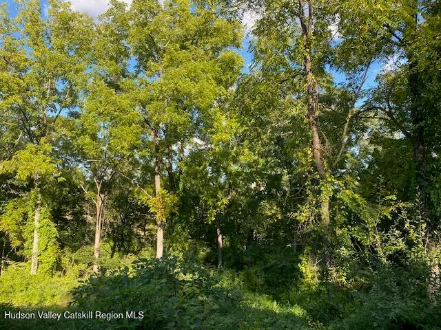 $500,000 | Tbd Lily Lake Road, Highland, NY 12528