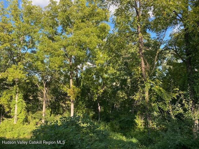 Tbd Lily Lake Road Highland, NY 12528 - Photo 26 of 31 Pic 23