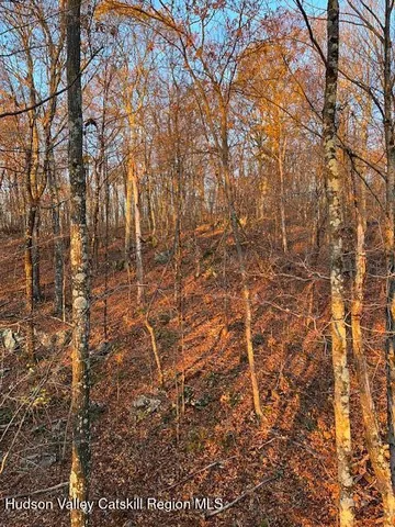 $500,000 | Tbd Lily Lake Road, Highland, NY 12528