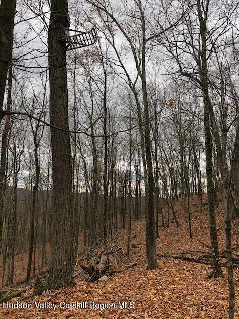 Tbd Lily Lake Road Highland, NY 12528 - Photo 29 of 31 a backyard of a house with lots of green space