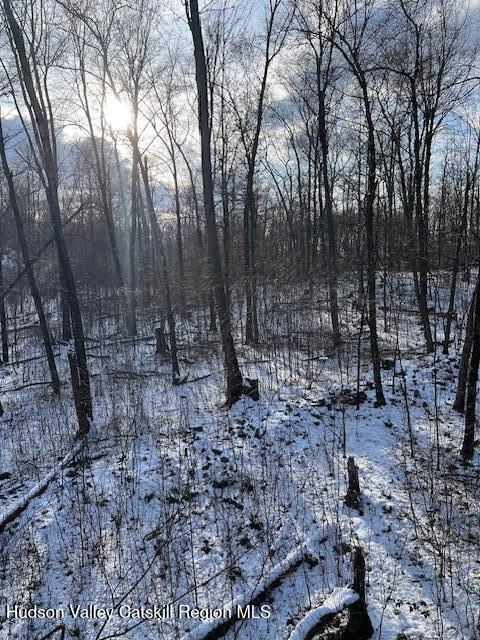 Tbd Lily Lake Road Highland, NY 12528 - Photo 30 of 31 a view of outdoor space with lots of trees