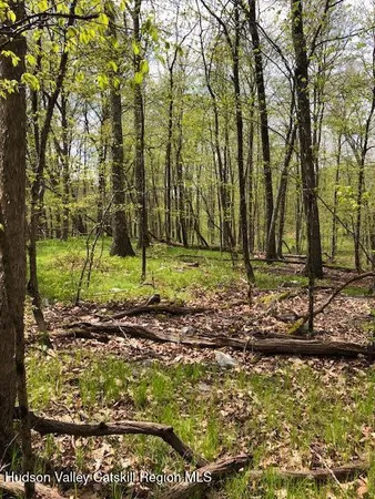a view of an ocean from a yard