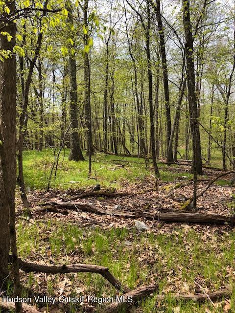 Tbd Lily Lake Road Highland, NY 12528 - Photo 3 of 31 a view of a yard with a tree