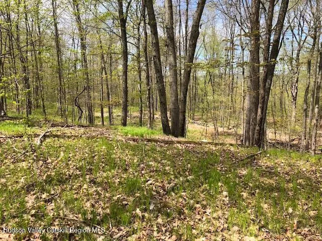 a view of an ocean from a yard
