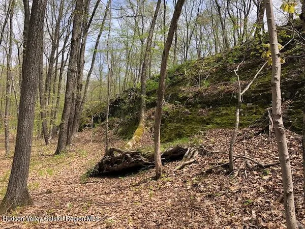 a view of lake with green space